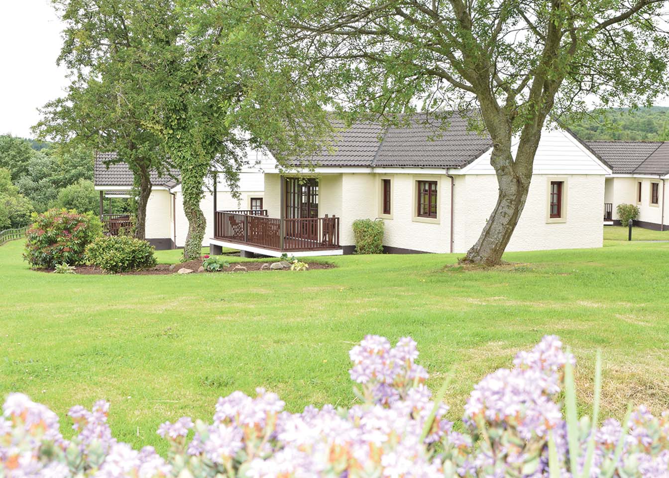 4 persoons lodge Bargany (Pet)