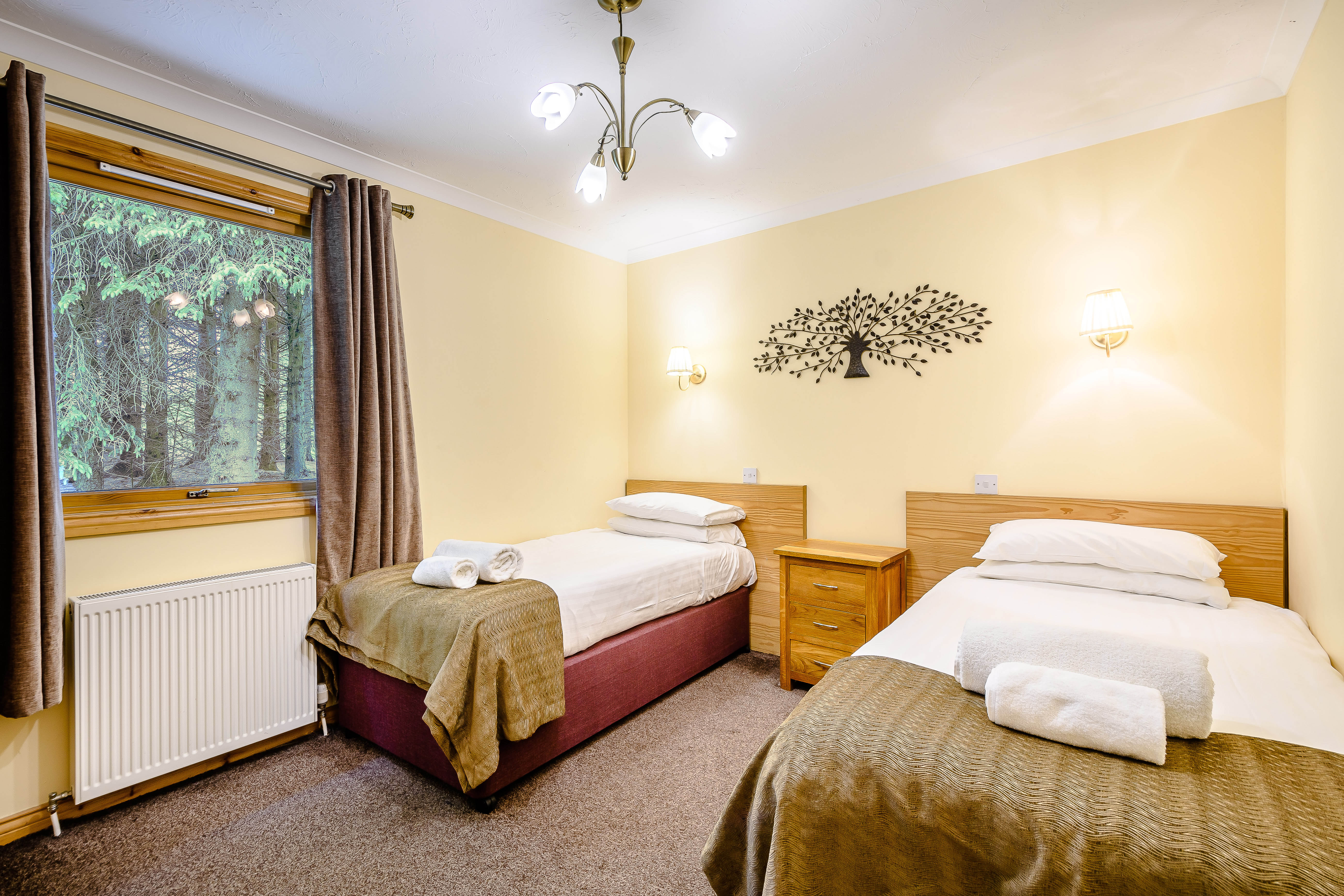 4-persoons chalet - Barnard Lodge — foto 11