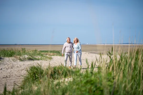 Hof van Saksen Drenthe - Westdorp visuel 895/1861