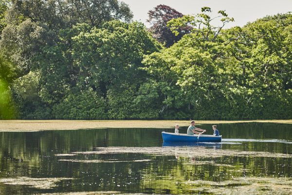 Hof van Saksen Drenthe - Westdorp visuel 148/1861