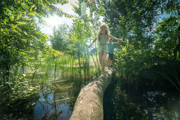 Hof van Saksen Drenthe - Westdorp visuel 1547/1861