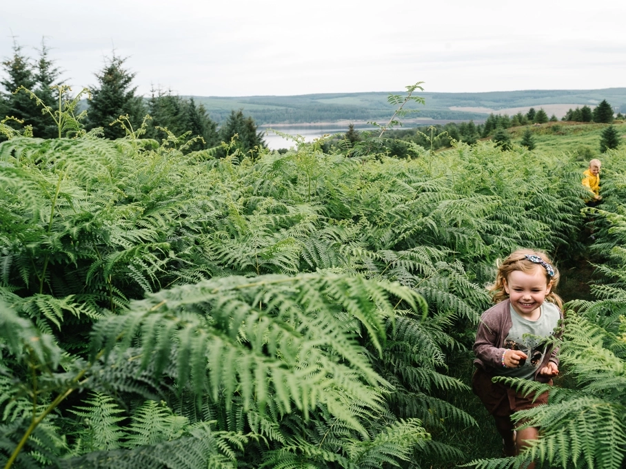 Hof van Saksen Drenthe - Westdorp visuel 12/1861