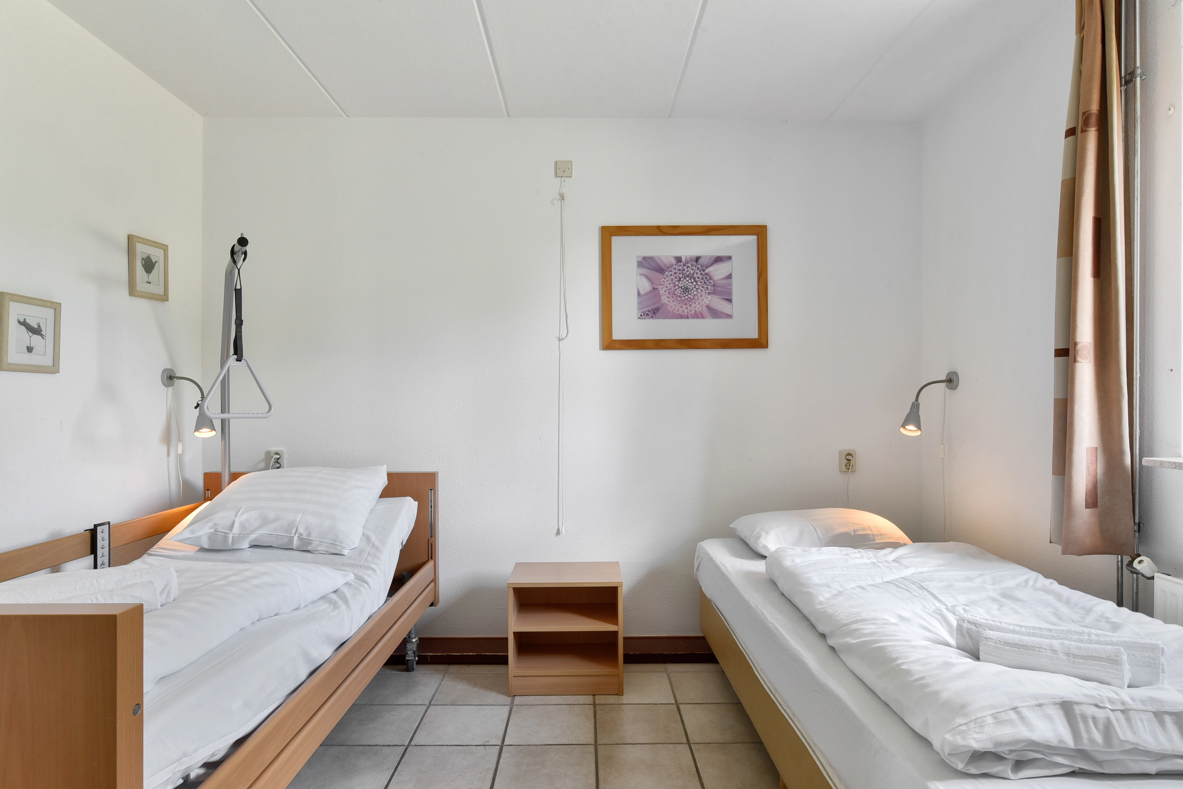 4-6-persoons bungalow - Breed toegankelijk — foto 11