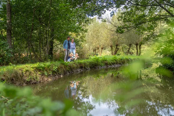 Hof van Saksen Drenthe - Westdorp visuel 868/1861