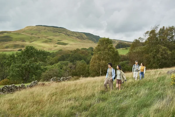 Hof van Saksen Drenthe - Westdorp visuel 301/1861