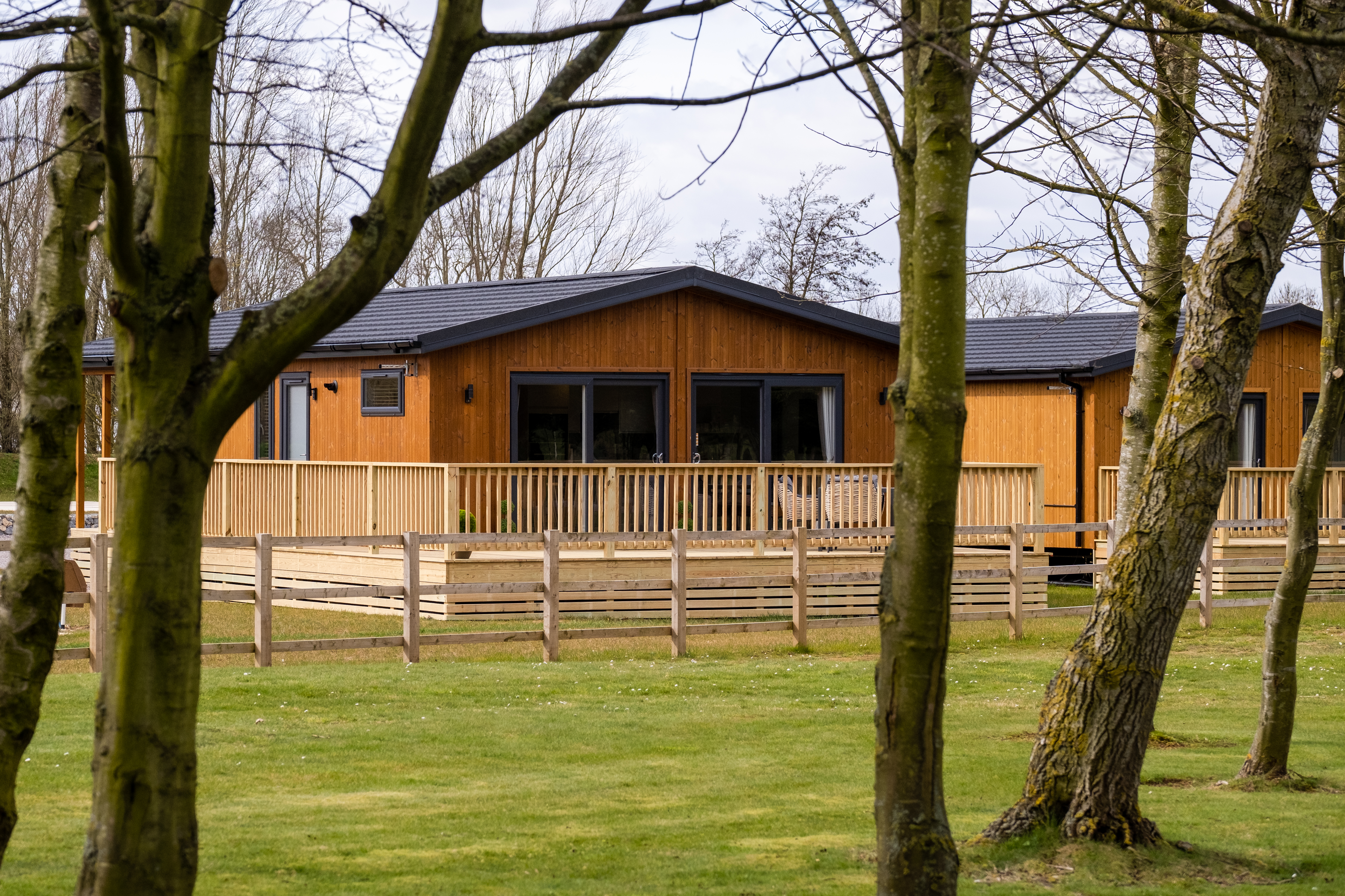 4-persoons bungalow - Dream View.