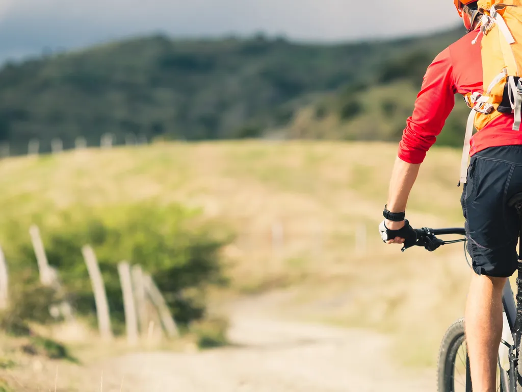 Male on mountainbike in summer