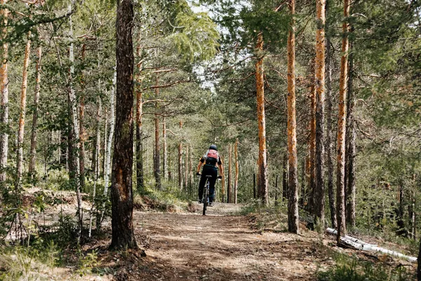 Hof van Saksen Drenthe - Westdorp visuel 811/1861