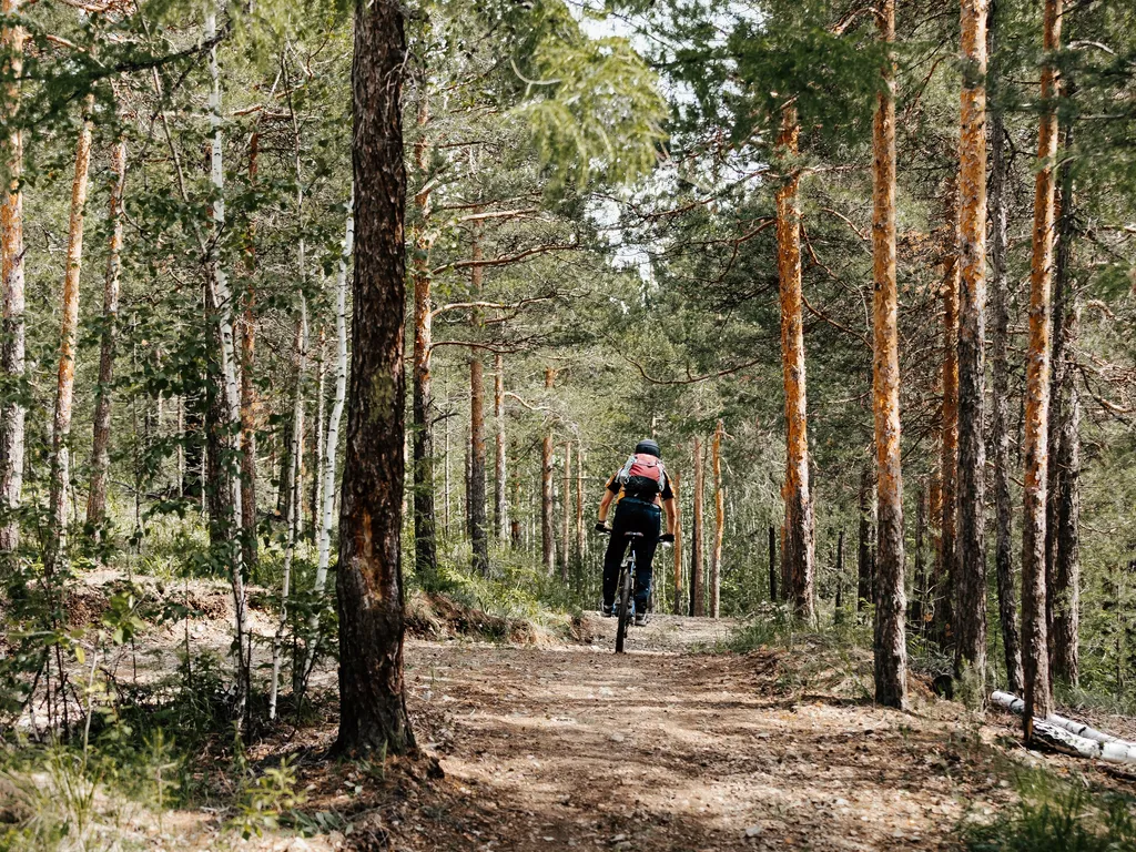 Mountainbiker in the forest