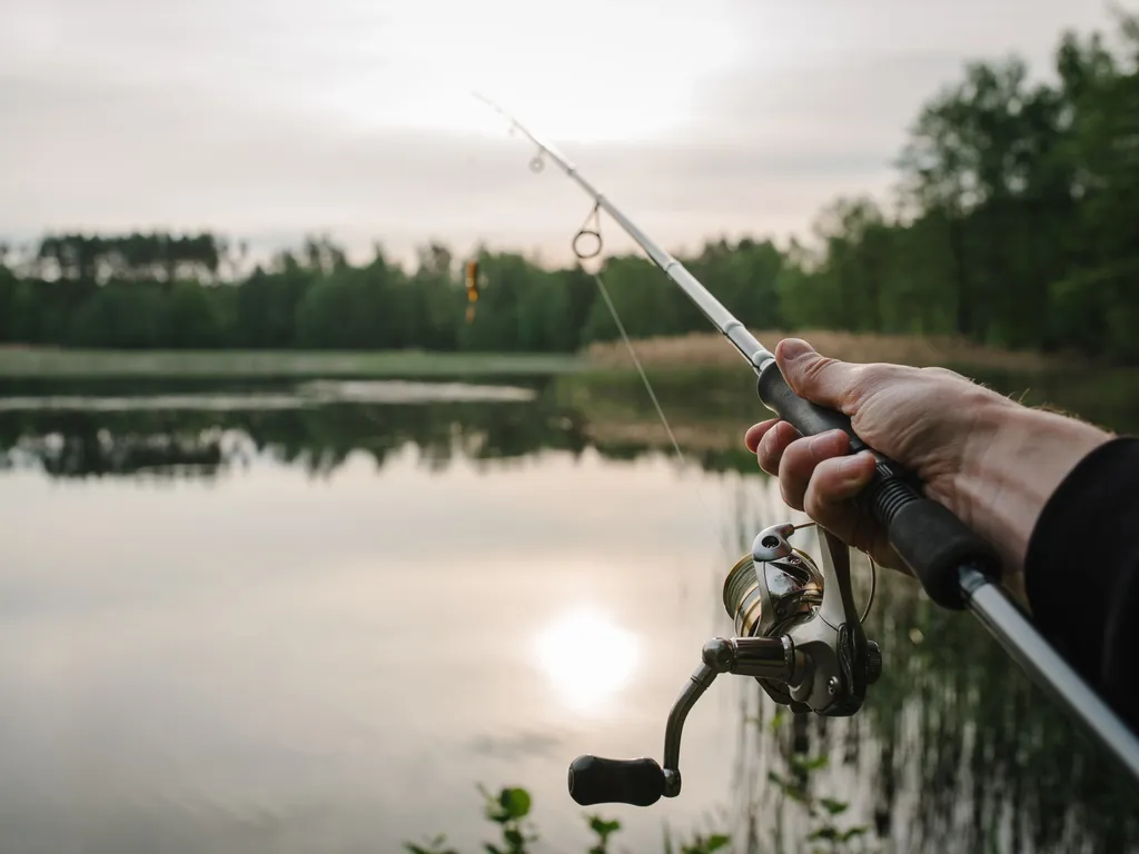 Fishing for pike, and perch from a lake or pond.