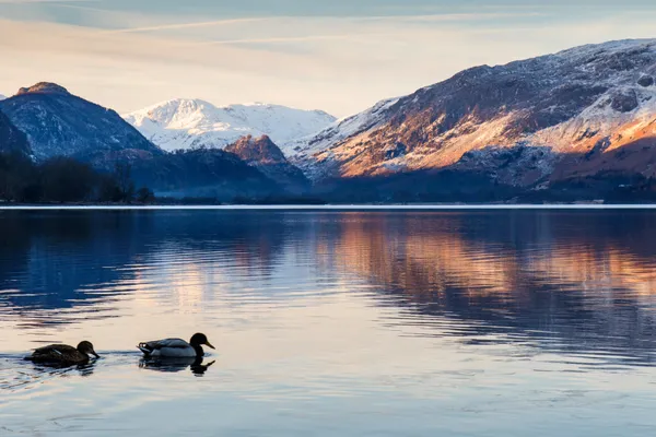 Hof van Saksen Drenthe - Westdorp visuel 107/1861
