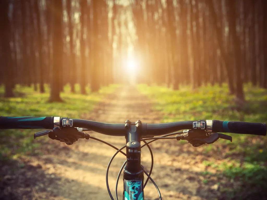 Mountainbike in forrest