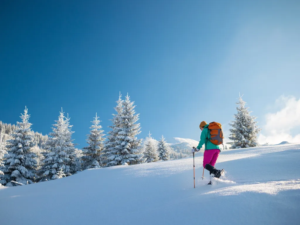 Hiking in the winter