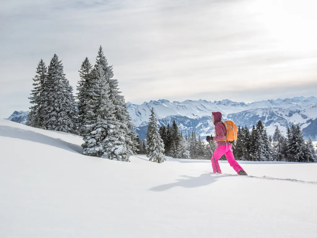 Snowshoeing in high mountains