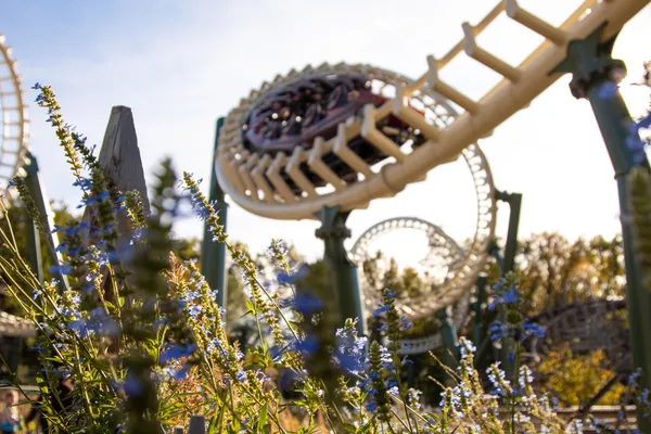 Hof van Saksen Drenthe - Westdorp visuel 1277/1861