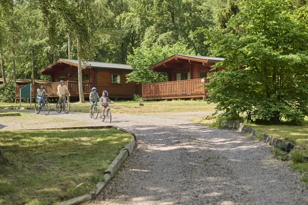 Hof van Saksen Drenthe - Westdorp visuel 260/1861