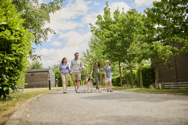 Hof van Saksen Drenthe - Westdorp visuel 61/1861
