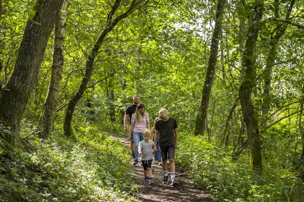 Hof van Saksen Drenthe - Westdorp visuel 553/1861