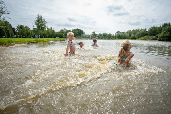 Hof van Saksen Drenthe - Westdorp visuel 1083/1861