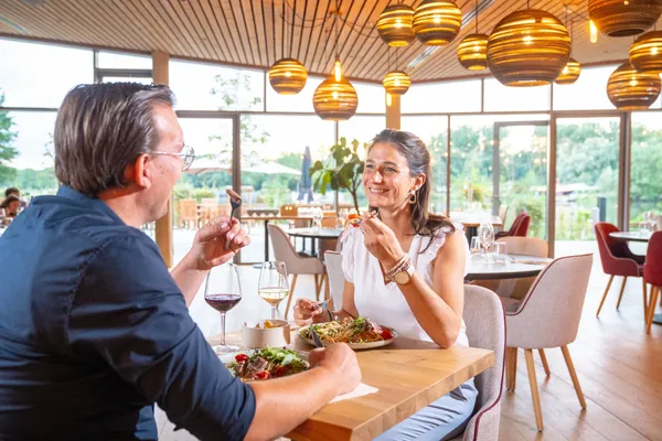 Hof van Saksen Drenthe - Westdorp visuel 909/1861