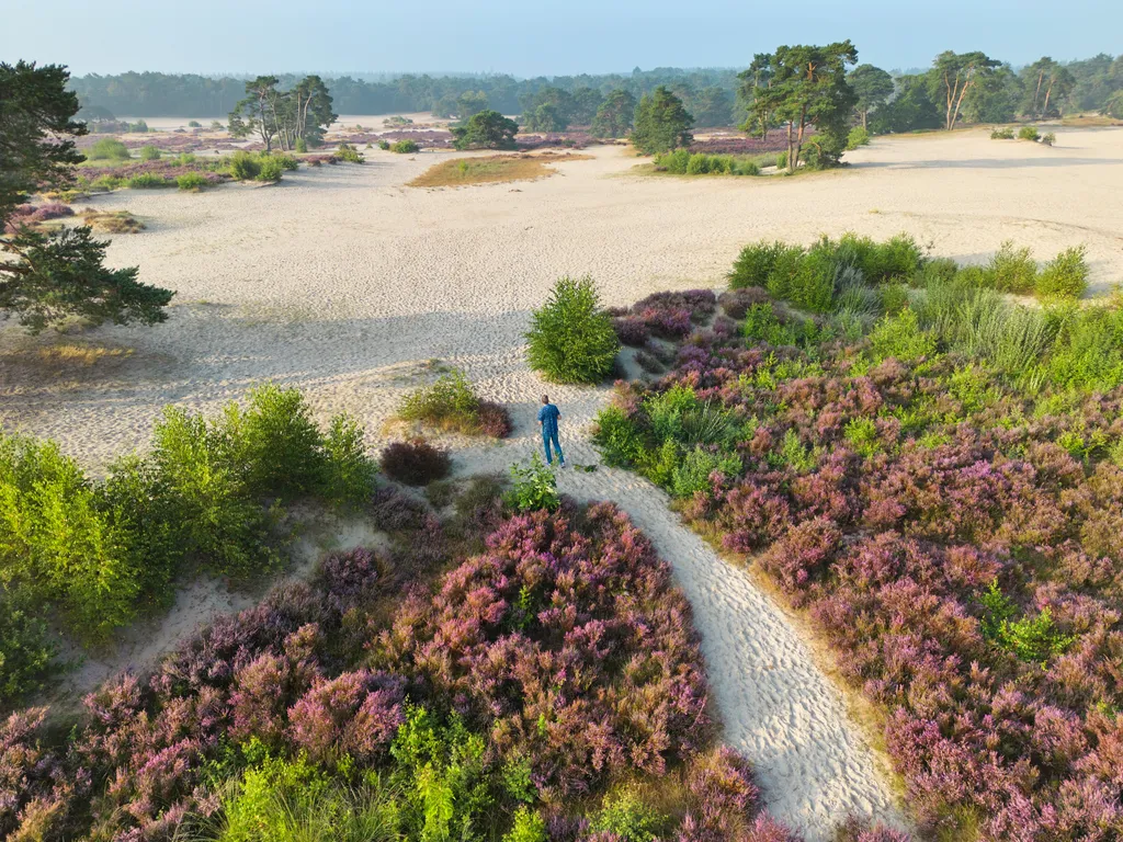 Utrechtse heuvelrug overview