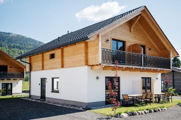 Hof van Saksen Drenthe - Westdorp visuel 498/1861