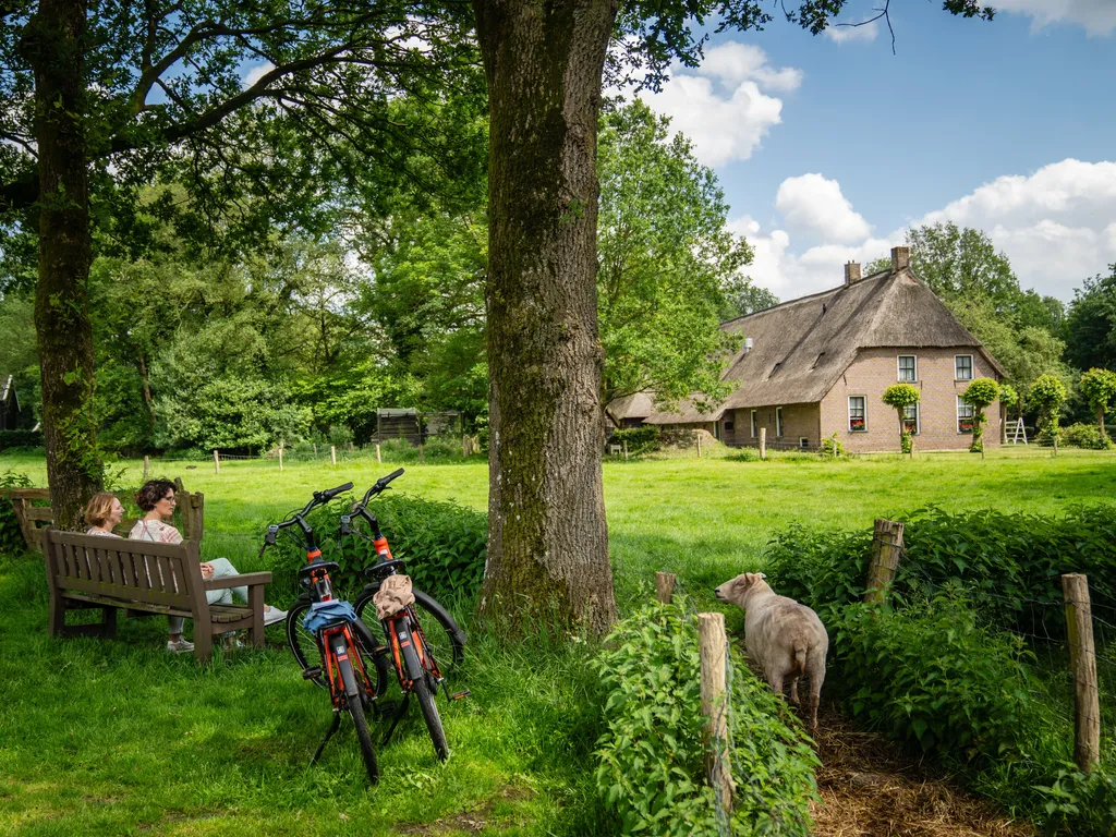 Landal OKE 2024 overview park bicycle environment sheep