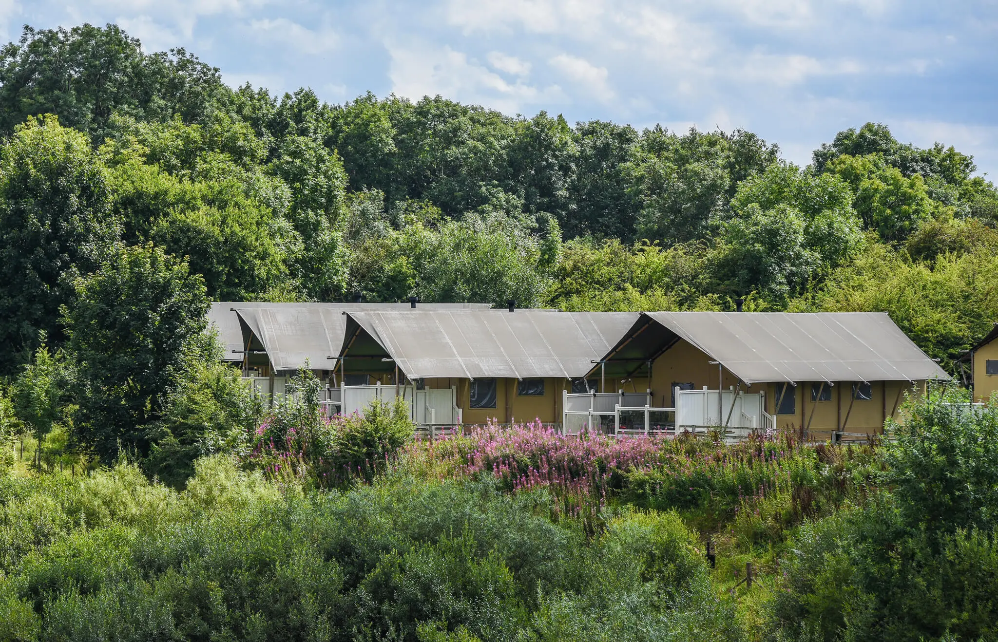 8 persoons safaritent Kruger (Pet)