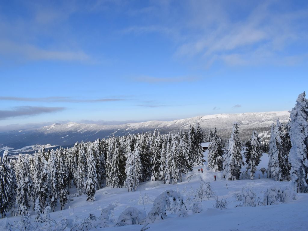 Winter dream in the Bavarian Forest