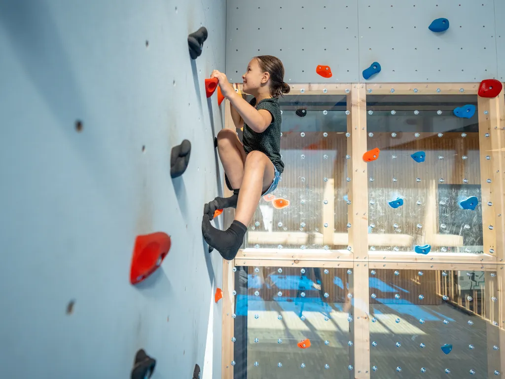 SNN Climbing wall