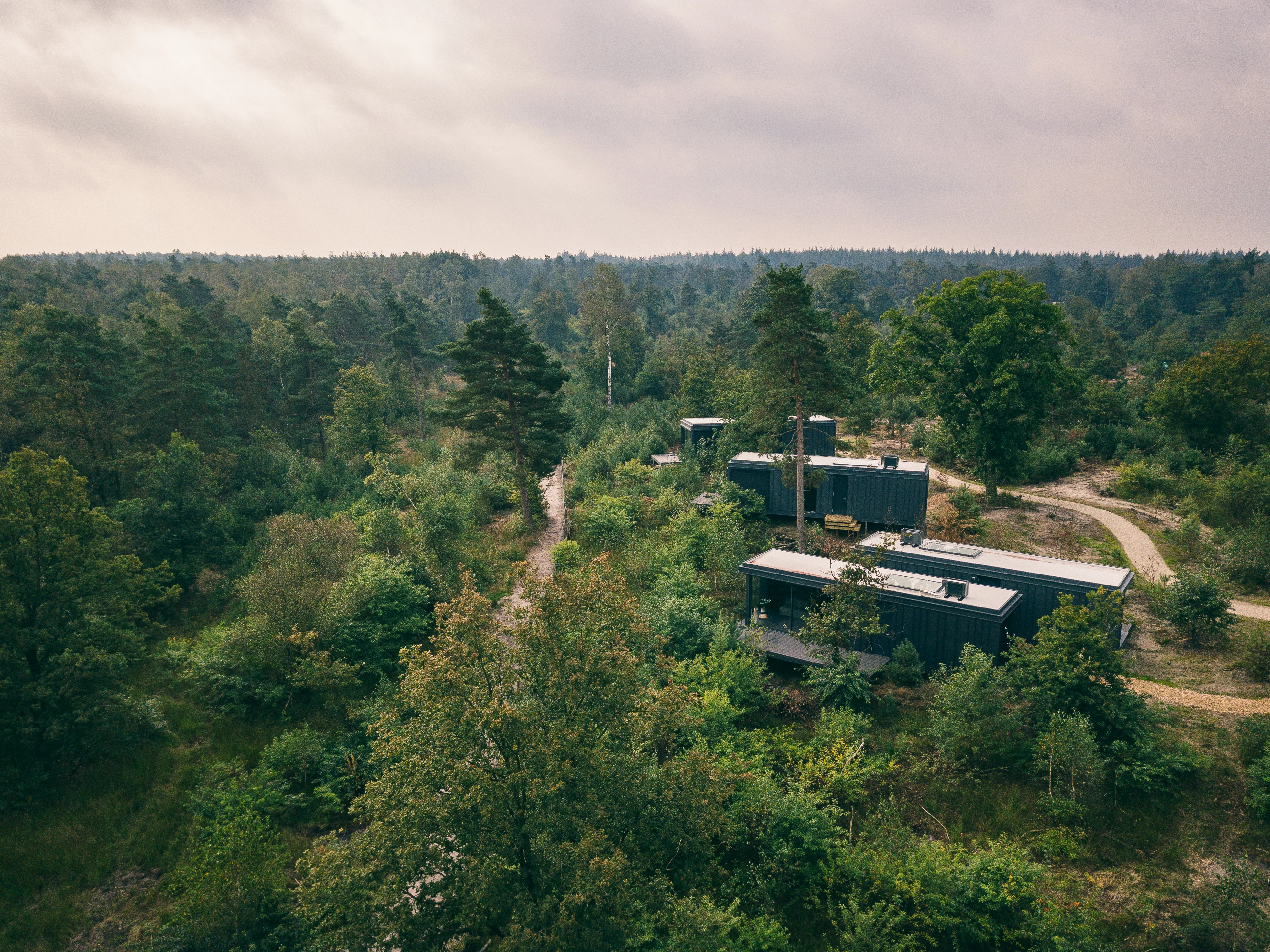 Cuber Veluwe
