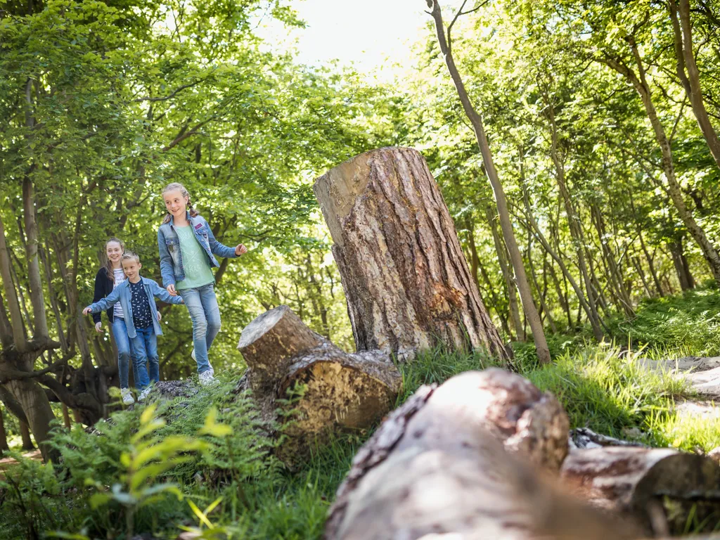 Parc De Berkenhorst