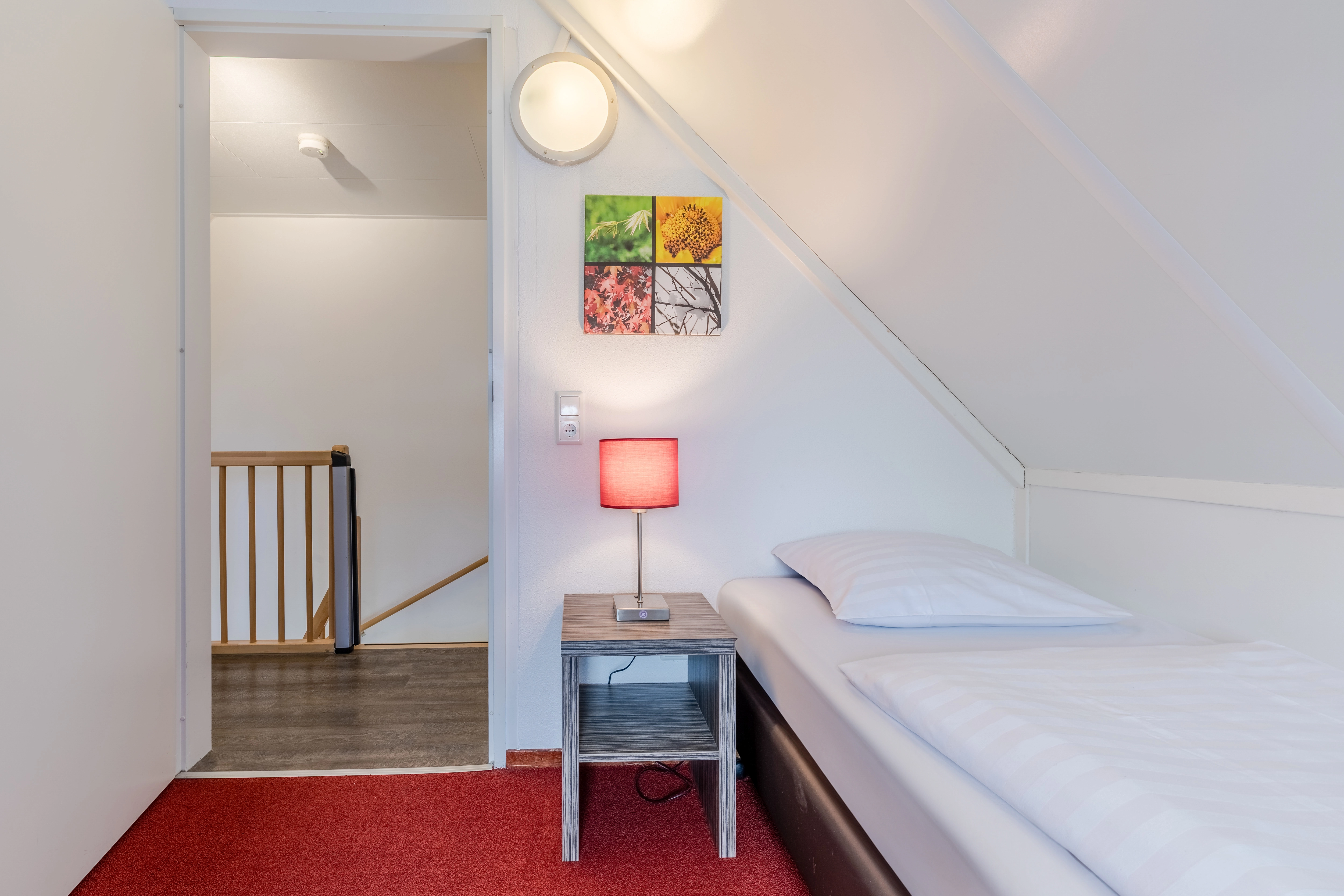 6-persoons hondenbungalow — foto 6