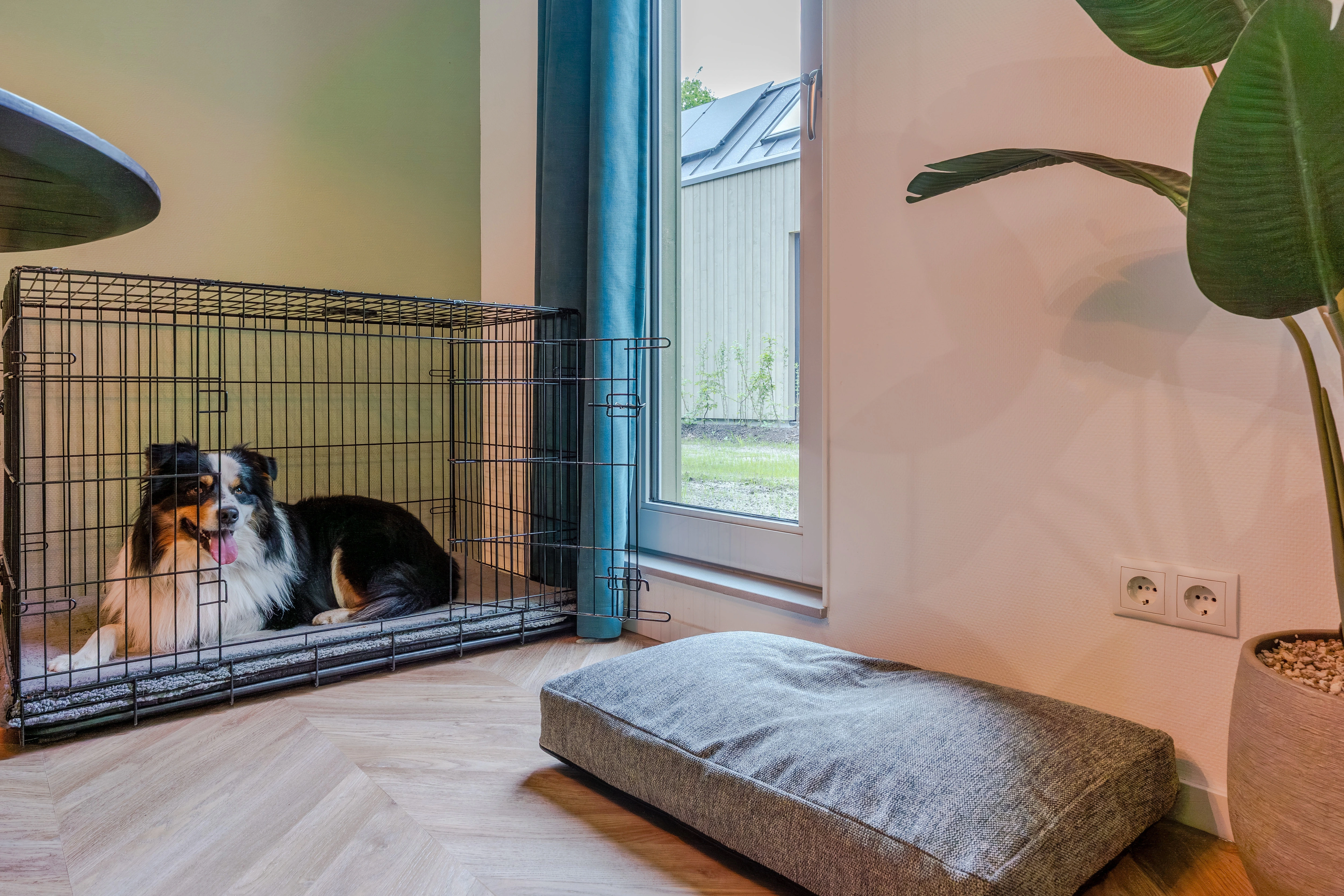 4-persoons hondenwoning — foto 10