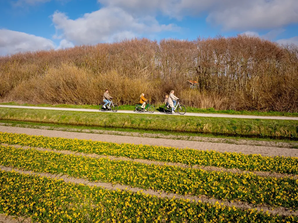 ONE Cycling