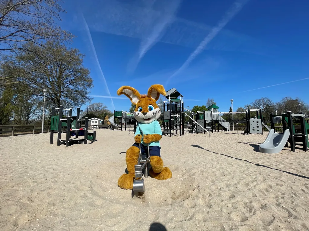 ACN Playground 