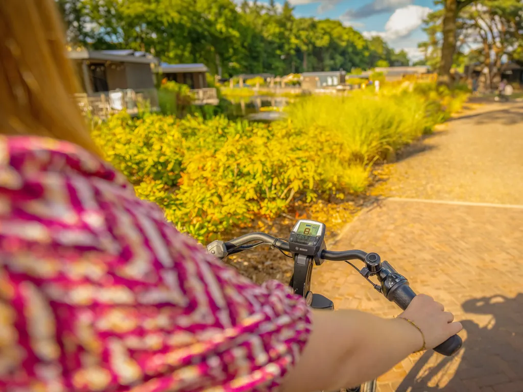 SUH Bicycle