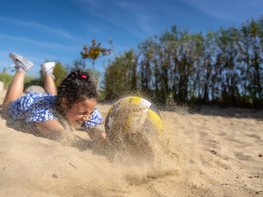 NVD Volleybal