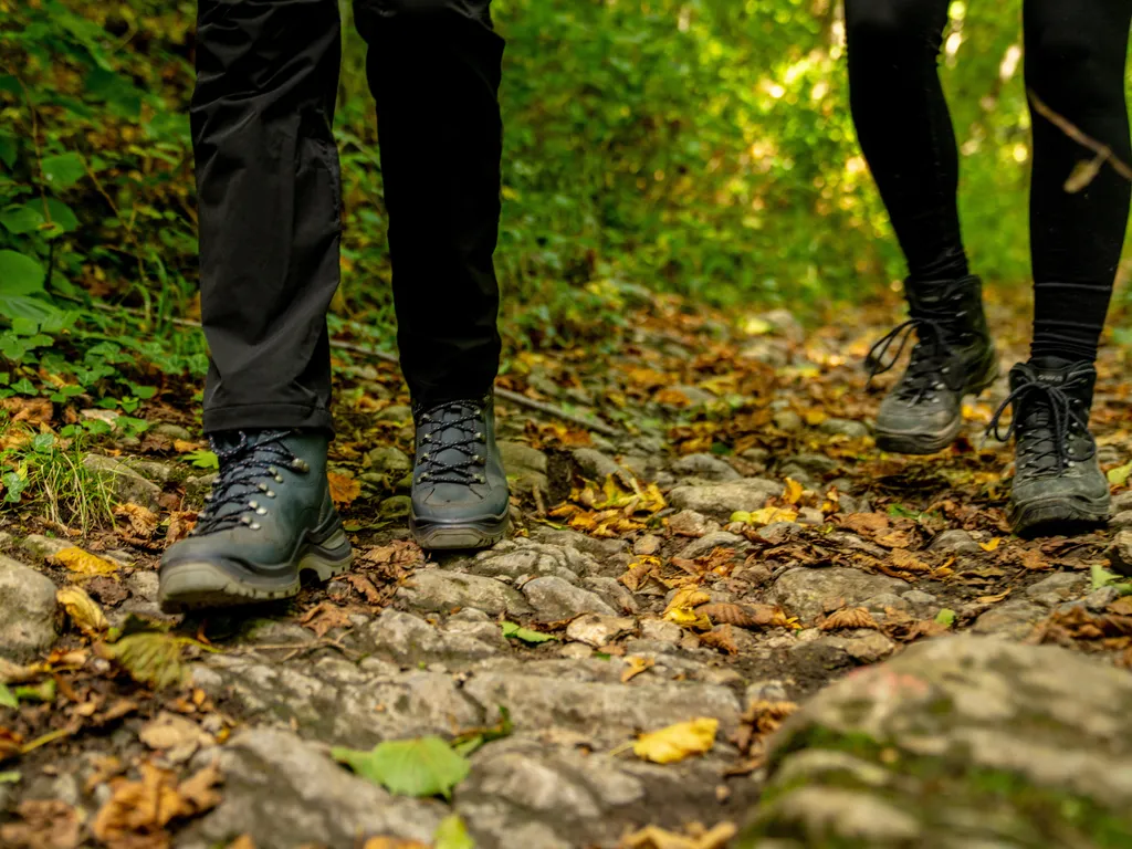 NRE Walking in the forest