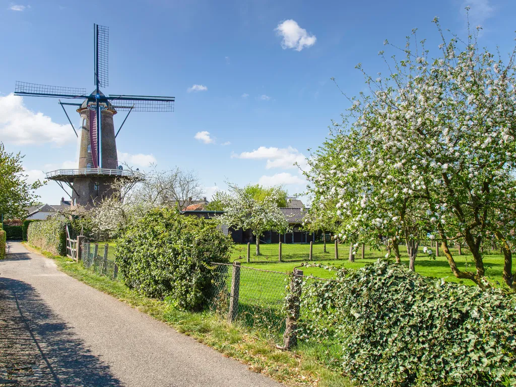 De Betuwe