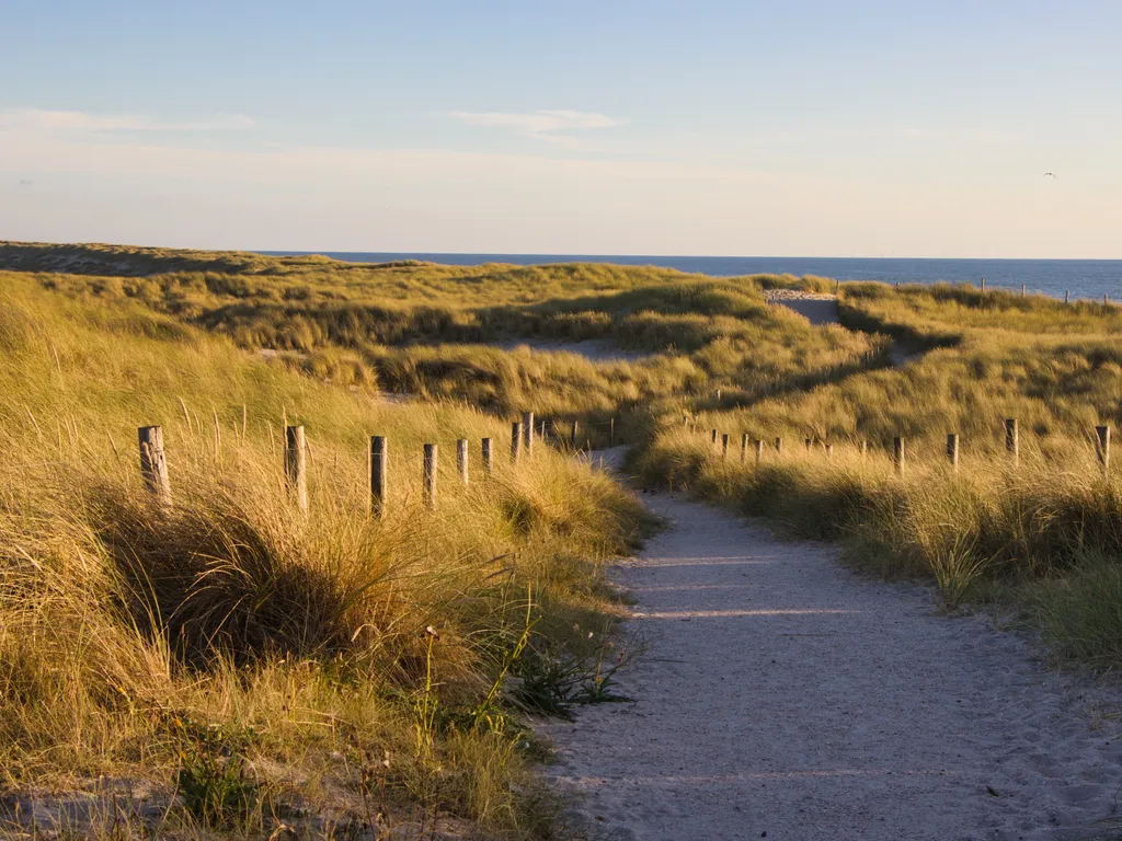 Callantsoog Dunes