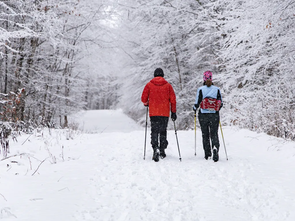 Walking in winter forest