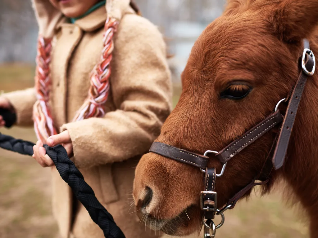Pony riding