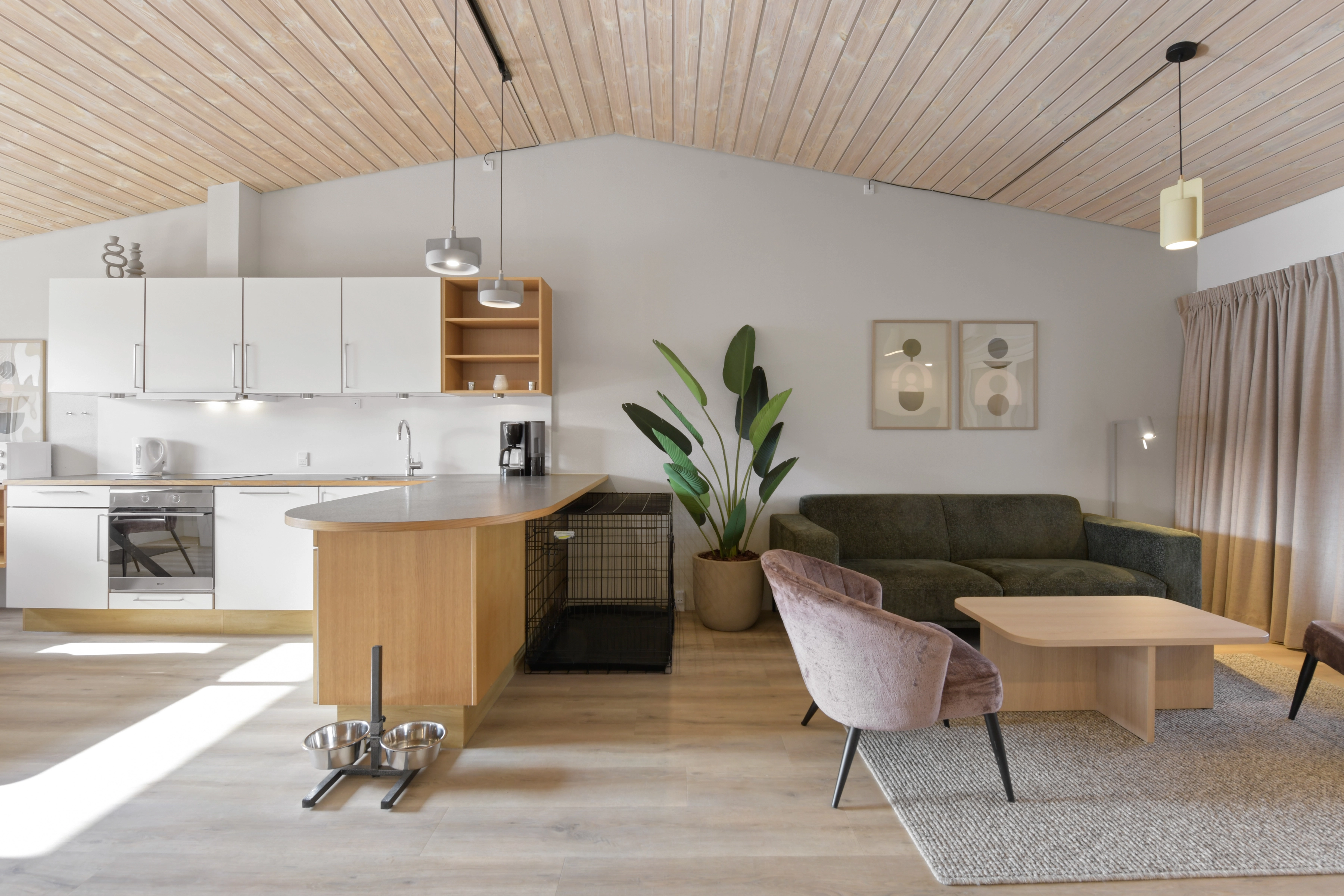 4-persoons hondenbungalow — foto 8